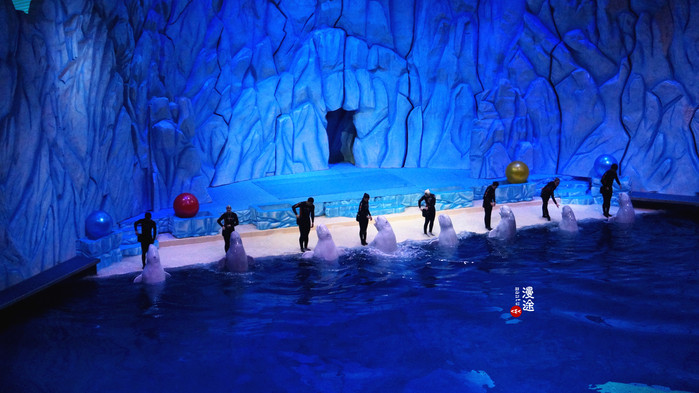 新年广州珠海长隆游记,广州珠海长隆澳门自由行攻略