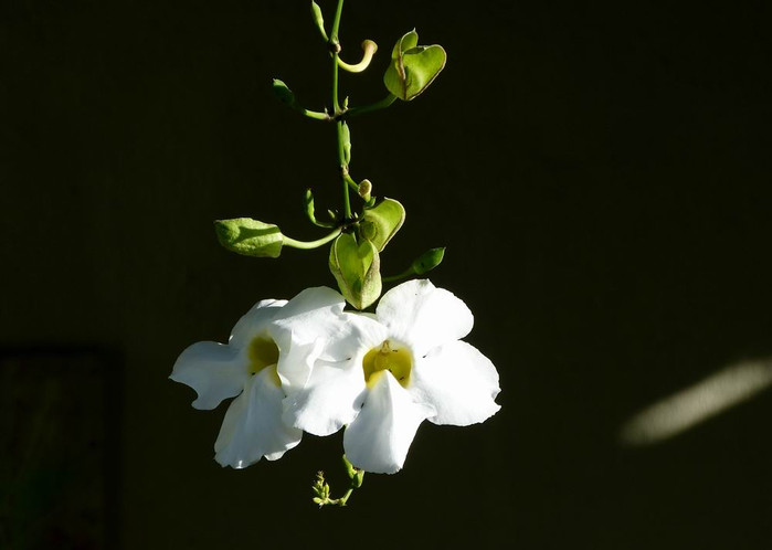 长滩之旅分享篇,长滩旅游行程