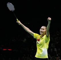 羽毛球赛事公开赛,2023体育大型赛事