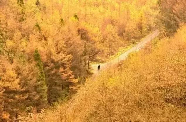 恩施免费景点2024,2018恩施