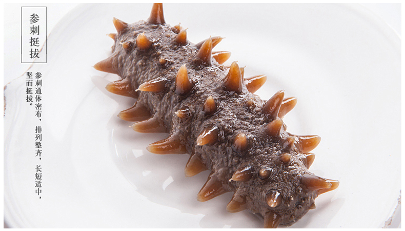 鲜蒸即食海参,海参开袋即食