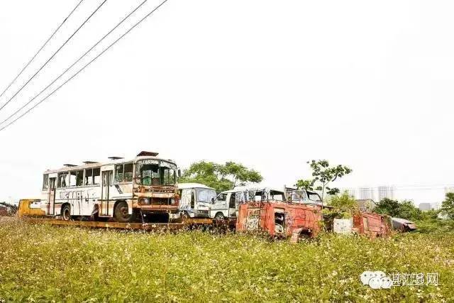 湛江的知名商品有哪些品牌,湛江有啥突出品牌的产品