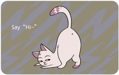 新手养猫指南铲屎官必看,铲屎官最容易忽略的五点养猫常识