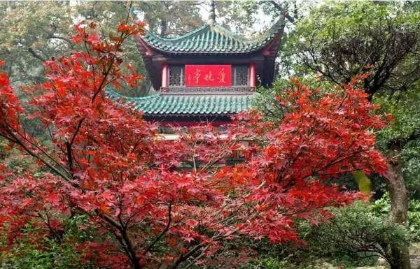 2016，一个妹陀想跟男朋友在湖南长沙干的99件事！