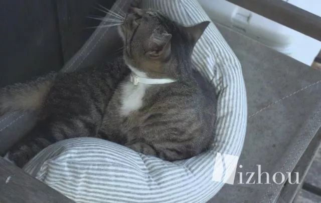 无印良品官方旗舰店双11有优惠吗,无印良品精选商品5折起