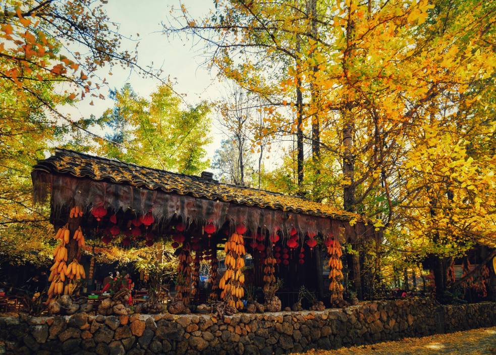 盘点6条值得一去的绝美路线,中国适合自驾旅行的45条路线