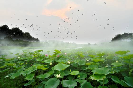 姹変腑鍧愰珮閾佺帺鐨勫ソ鍘诲,鍘绘眽涓帺濂借繕鏄幓骞垮厓鐜╁ソ