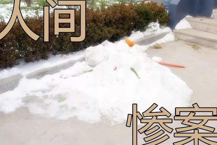 15所中小学校将改扩建,新区改造