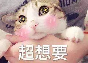 1000元之内轻奢包包入门,包包品牌轻奢500到1000