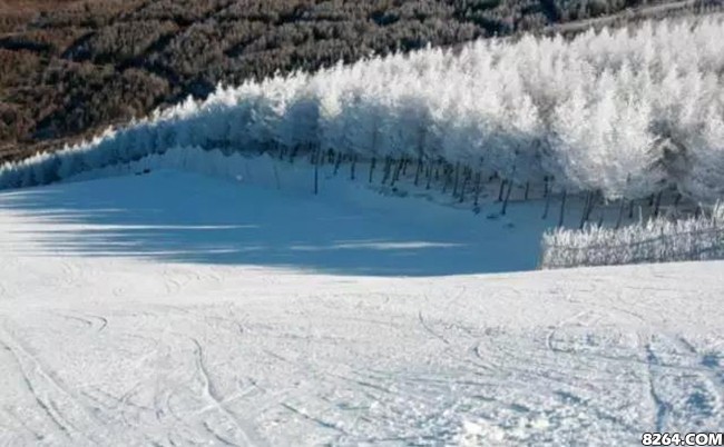 贵州十大滑雪场排名,中国滑雪场十大排名