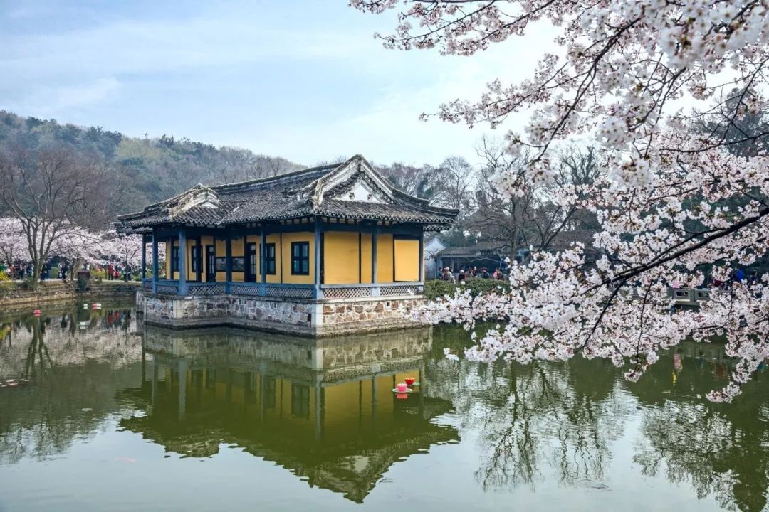 南京最富裕最有钱的是哪个区,江苏最有钱的城市排行