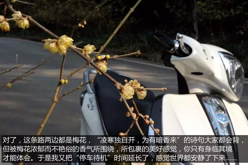 比亚乔liberty150目前有没有优惠,比亚乔150最豪华的踏板车