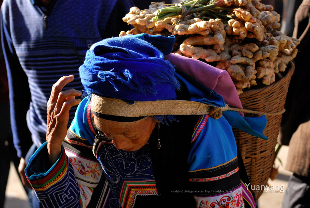 彝族传统文化风俗,讲解彝族文化习俗