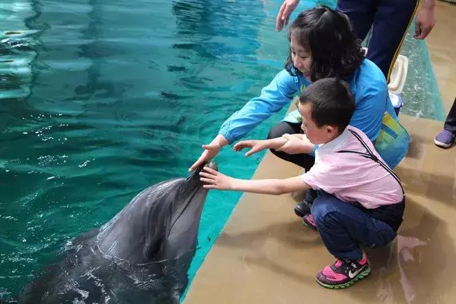 西安中医脑病医院康复,西安中医脑病医院汉中分院官网