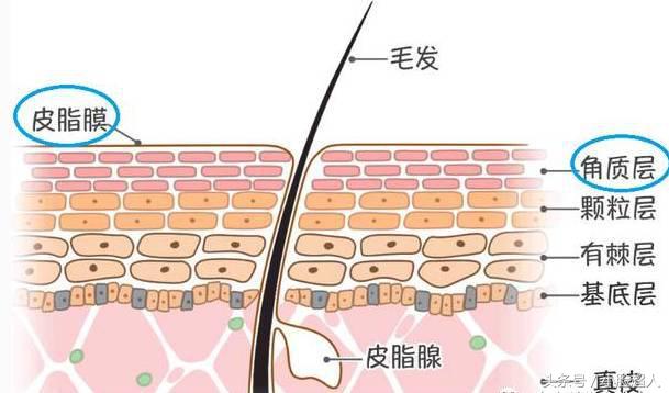 网红推荐的垃圾货,便宜好用的泰国护肤品推荐