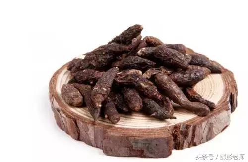 跟师每日一学草药19:香附