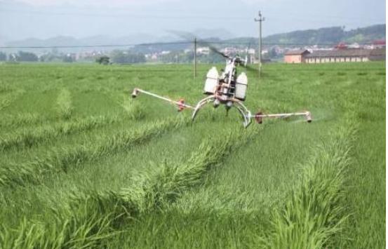 农村无本钱创业22种方法,农村创业100个项目赚钱