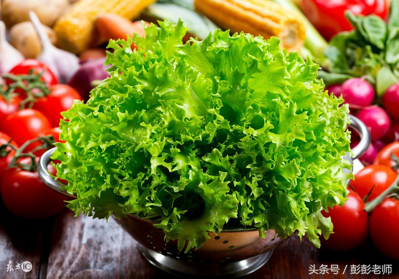 草药小金不换的图片功效与作用,哪地的草药金不换最有功效