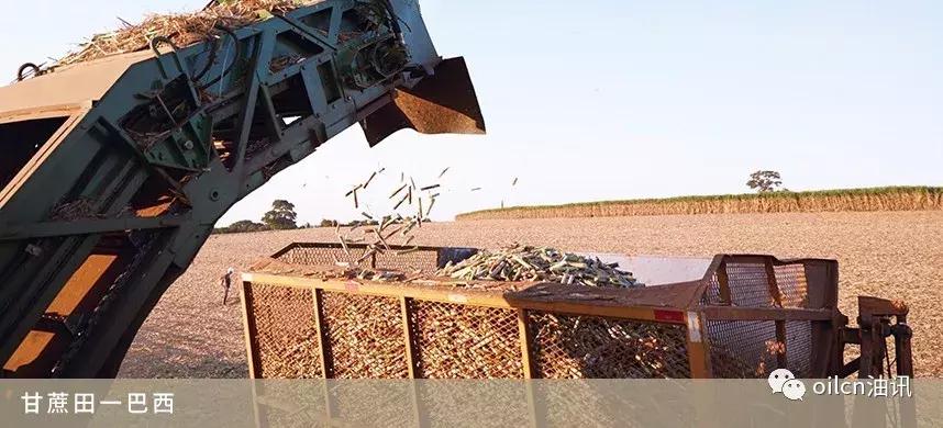 了不起的中粮“十八路军”：虎踞龙盘护民生，继往开来战全球！