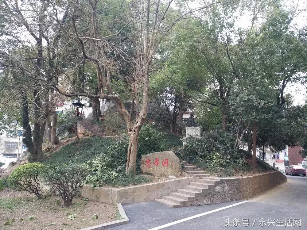 永兴一中老师名单,永兴一中