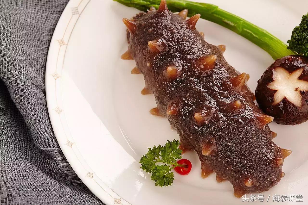 小海参和大海参营养有什么区别,淡干海参和鲜食海参哪个更有营养