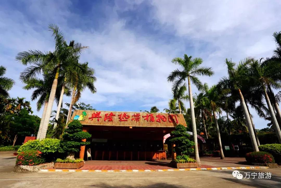 购物清单春节,春节购物清单竖版