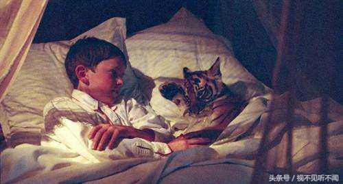 关于逃亡的电影推荐,推荐几部逃亡逃脱类电影