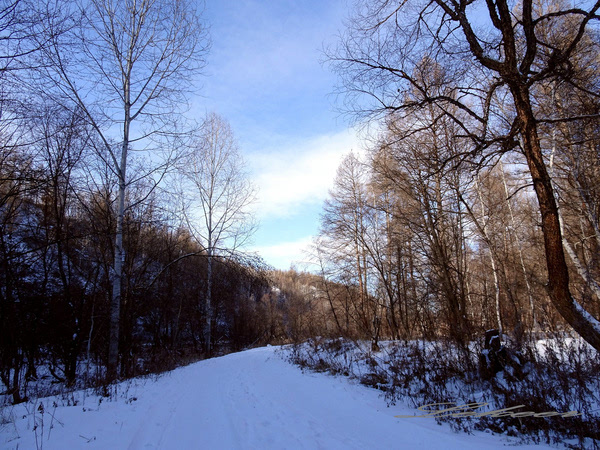 黑河兴安岭中有一个村款待客人方式怎么和蒙古族人一样？