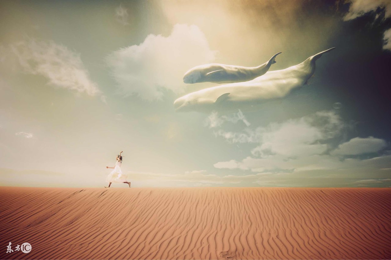 初级心理咨询师培训,怎样选择心理咨询