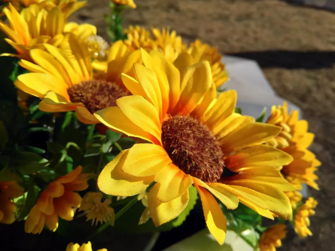 诺基亚6二代,诺基亚6二代支持升级鸿蒙吗