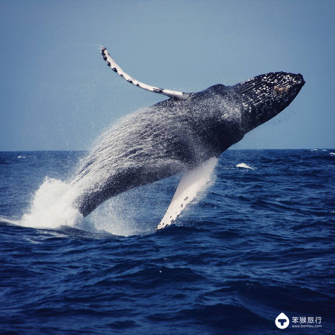 我错过的这座花园岛屿，却是美国人的最爱，连扎克伯格也飞来买地
