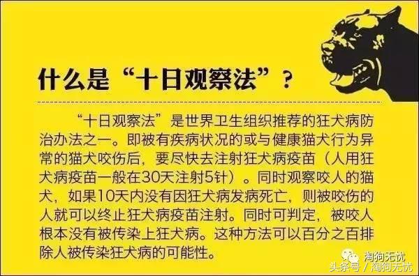 求助小猫被绳子缠住后续,被猫抓了要去打针吗