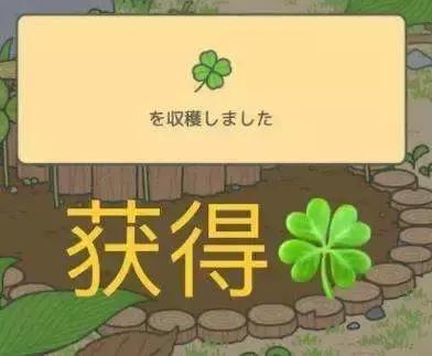 如果旅行青蛙变成这样你们还养吗,旅行青蛙中如何正确养蛙