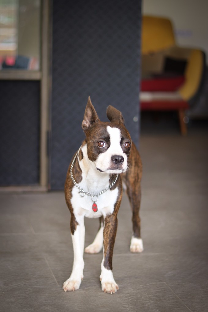 关上灯才意识到是黑夜,关上灯才知道它的魔力