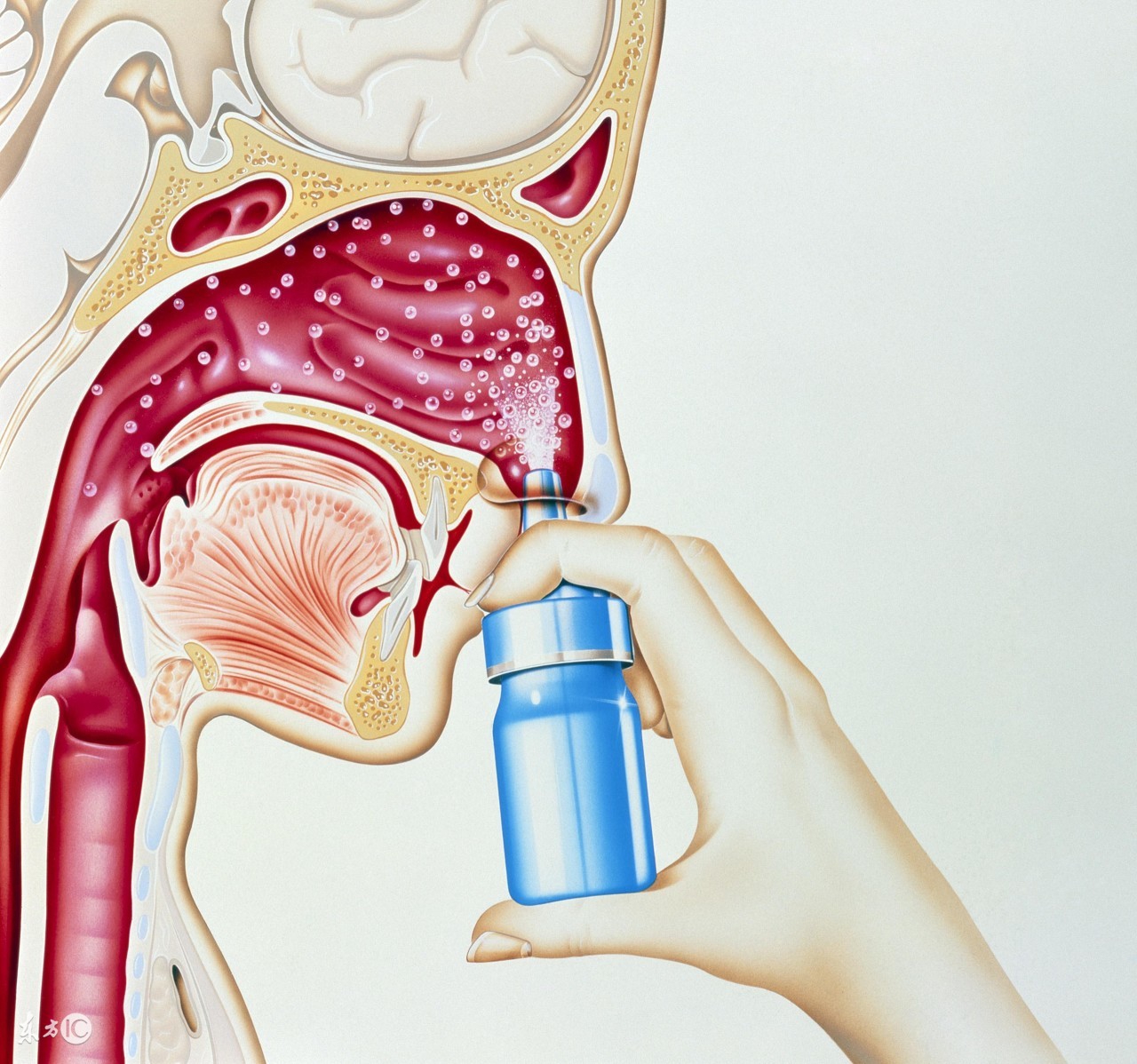 一岁宝宝流涕两周了没有其他症状,秋季两周岁半宝宝鼻塞流涕怎么办