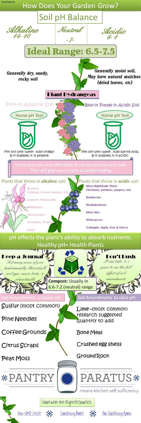 土壤酸碱度测定的实验报告,如何自己测试土壤的酸碱度