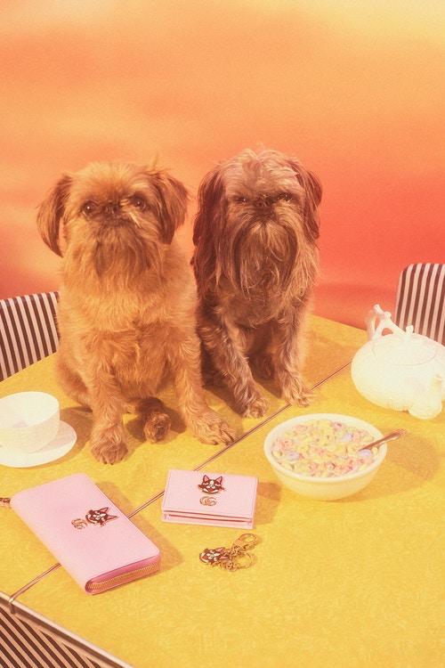 gucci狗头包,gucci狗头包2019