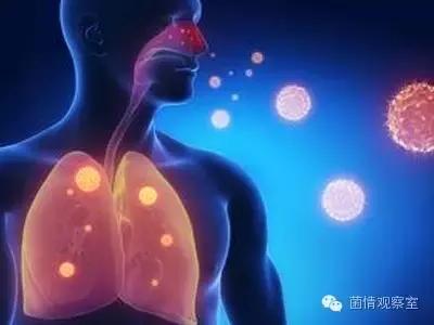 蓝骑士好鼻子益生菌治疗鼻窦炎吗,儿童鼻窦炎可以吃益生菌调理吗