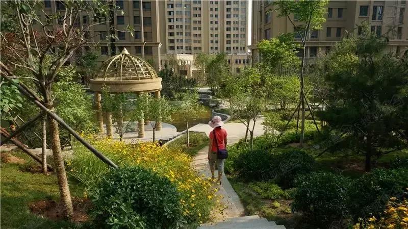 威海威高万和花园价格走势,威海威高万和花园布局图