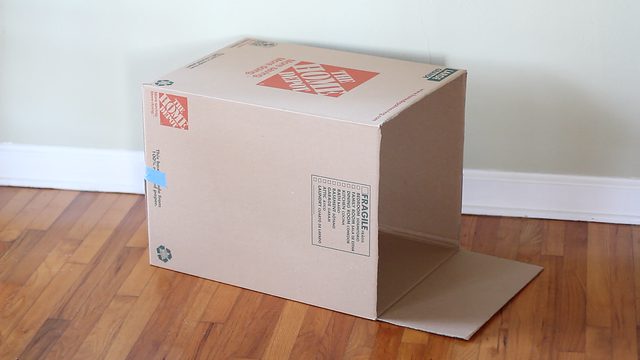 自制猫咪纸箱简单教程,纸箱自制一只迷你小宠物