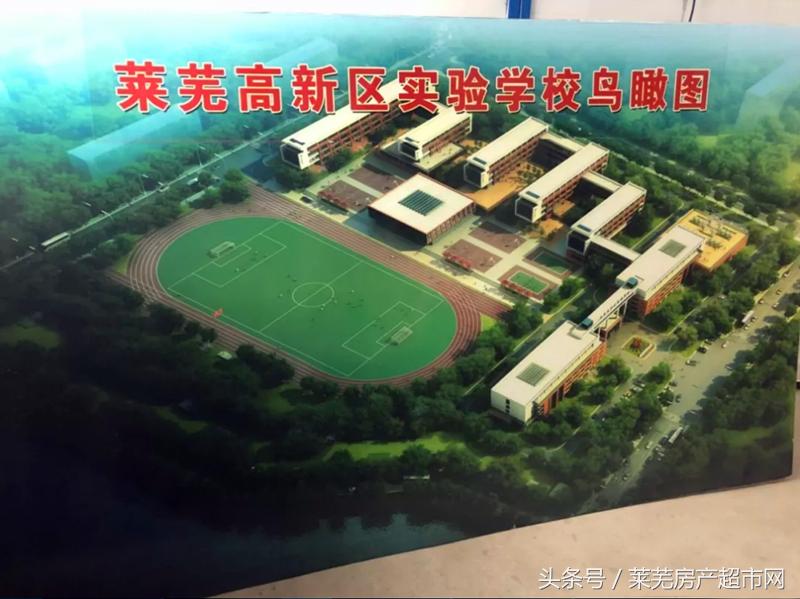 莱芜区规划小学,莱芜区学校最新规划