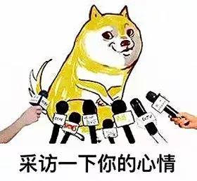 呸!又想骗我钱!