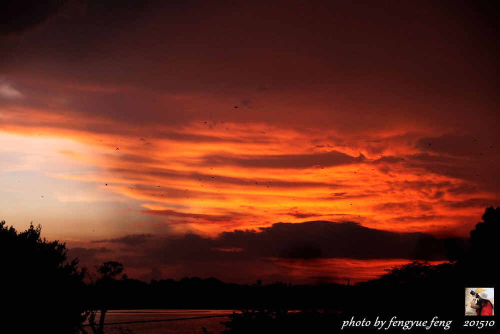斯里兰卡旅游景点视频全集,斯里兰卡咋去