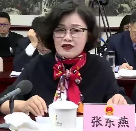 痛快现场版北京,北京两会通州代表团发言