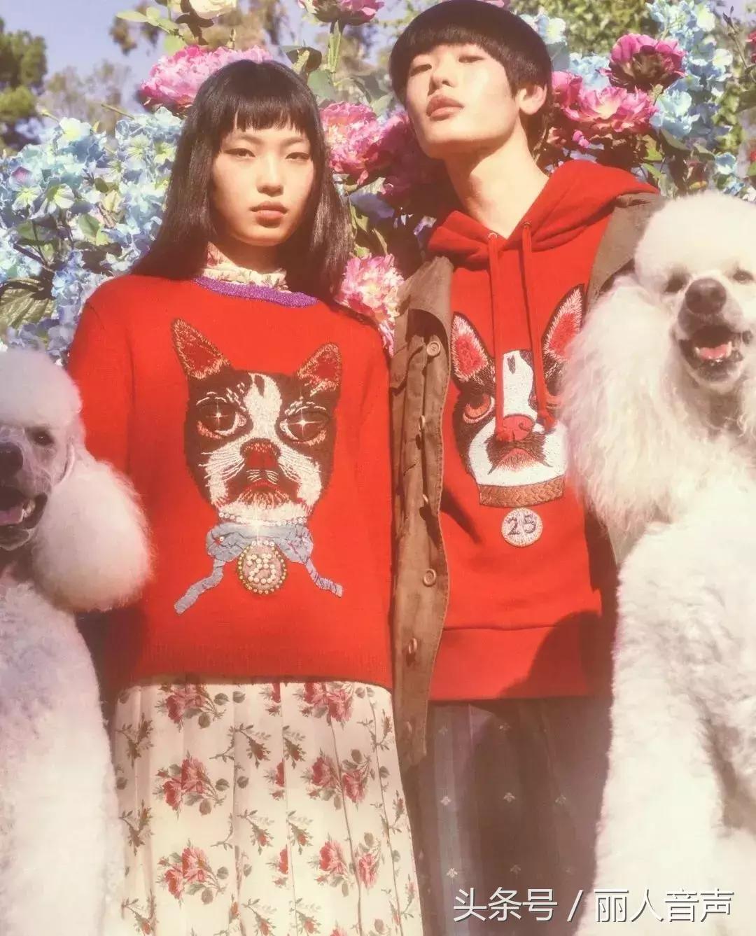 对十二生肖的权威解读表,中国人对十二生肖的看法