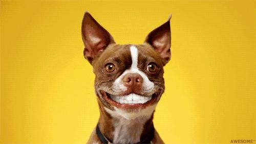 怎么养成绝佳好肌肤,平日怎么做护理肌肤