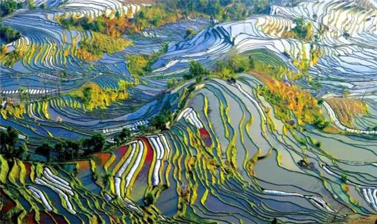 落地自驾云贵黄果树瀑布罗平油菜花元阳梯田西双版纳11日游