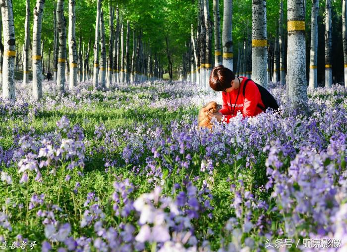 摄影爱好者必读摄影100个技巧,对摄影的好奇心和热爱还在吗
