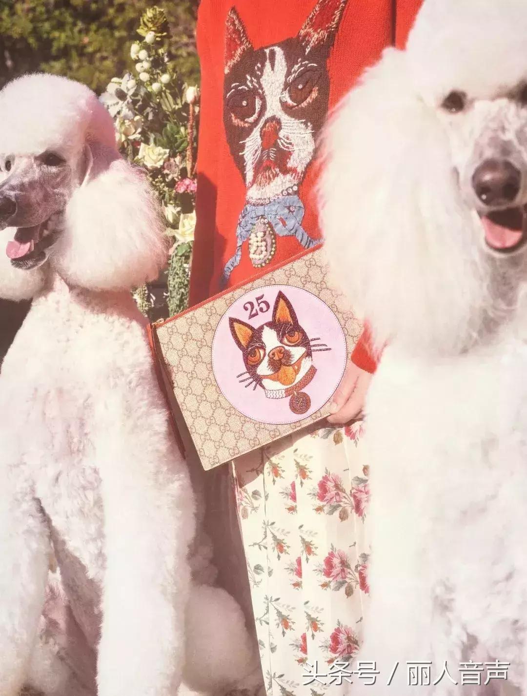 对十二生肖的权威解读表,中国人对十二生肖的看法