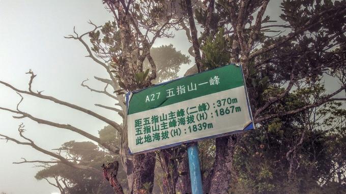 三亚旅游攻略纪念品,自驾游海南三亚必备物品清单